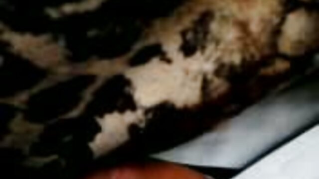 الجنس الجمالي في المرحاض مع سيكس كلاسيكي مترجم امرأة سمراء جميلة Jill KCD